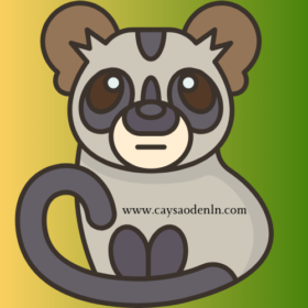 caysaodenln.com_logo